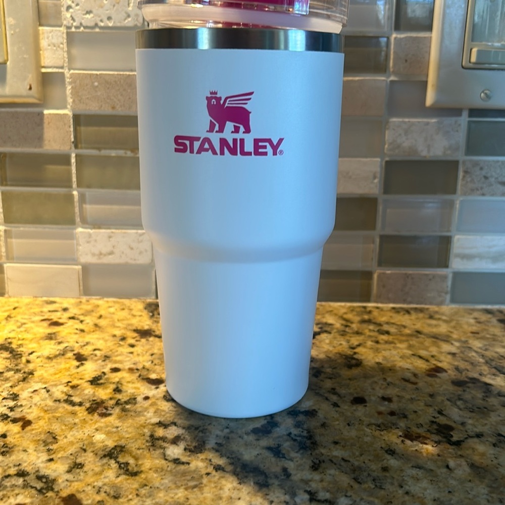 Stanley mini 20 oz